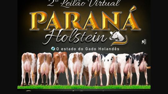 Não Perca: 2º Leilão Virtual Paraná Holstein 